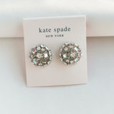 Beaming Bright Silver Clear Crystal Stud Earrings