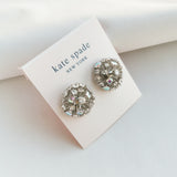 Beaming Bright Silver Clear Crystal Stud Earrings