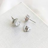 Treasure Trove Clear Silver Stud Earrings